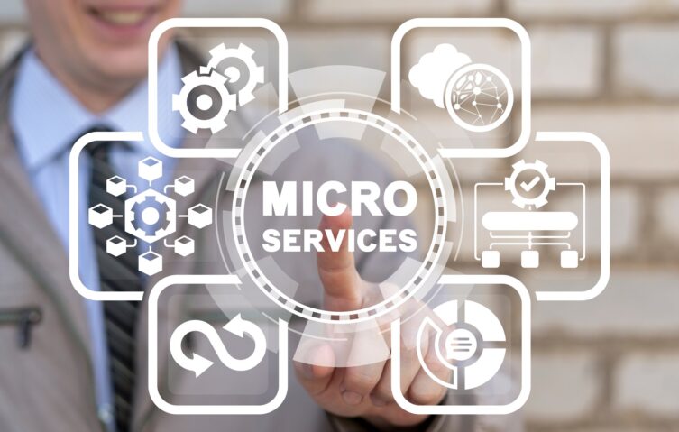 Scalable Software driven by Micro Services Architecture cover